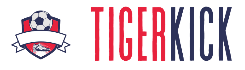 TigerKick